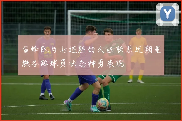 黄蜂队与七连胜的久违联系近期重燃各路球员状态神勇表现