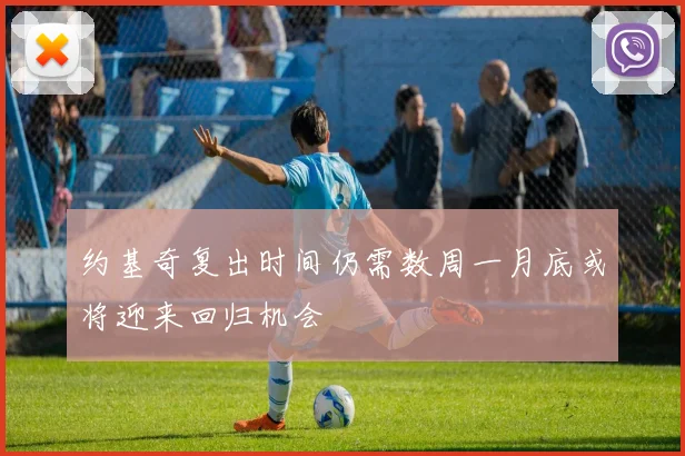 约基奇复出时间仍需数周一月底或将迎来回归机会